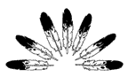 linedrawing of feathers