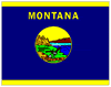 Montana flag